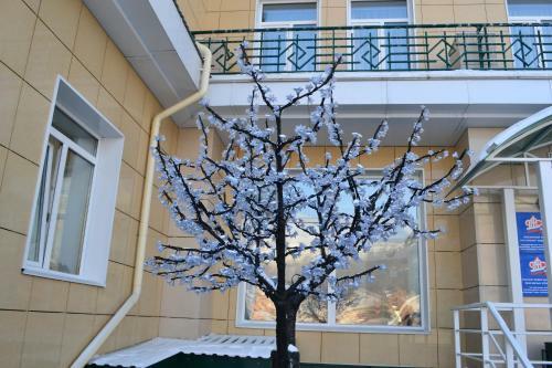 Hotel Igman