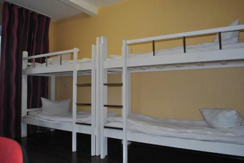Irkutsk Hostel And Tours