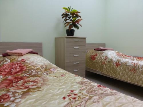 Hostel Kedr