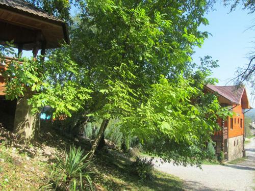 Hostal Guesthouse Lyubava