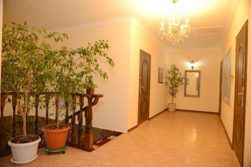 Sheremetievo-transit Hotel