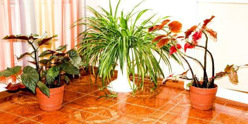 Hotel Guest House Gamma