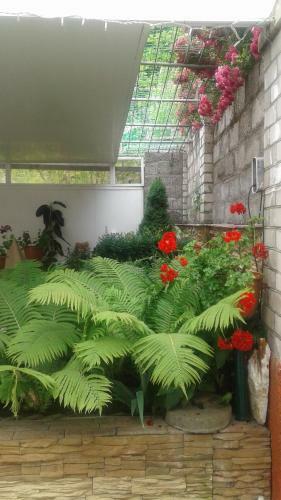 Hostal Guest House On Podgornaya