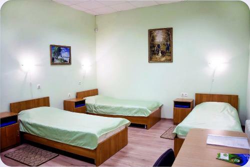 Bor Na Volge Hostel