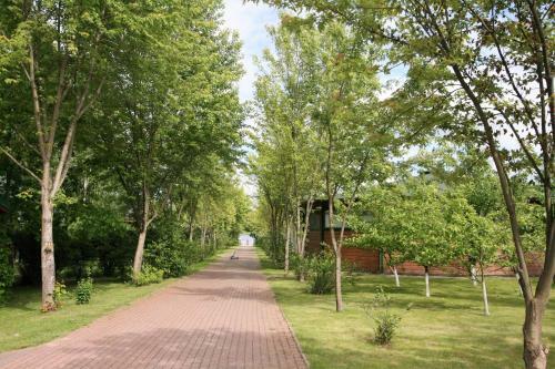 Bolshaya Volga