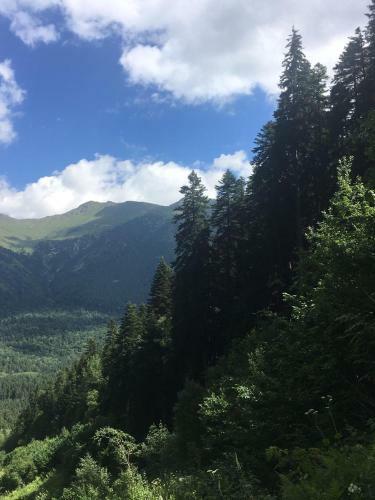 Apartamento Alpine Tale