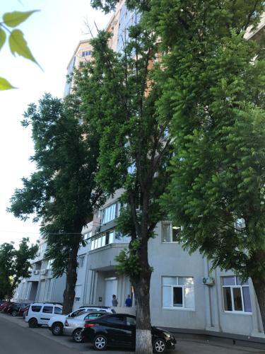 Apartamento Studio Lomonosova 97