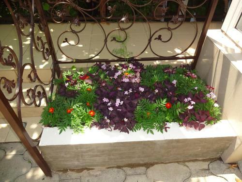 Hostal Guest House Rodnik
