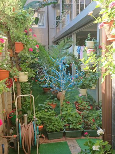 Hostal Guest House Lazurit Yug