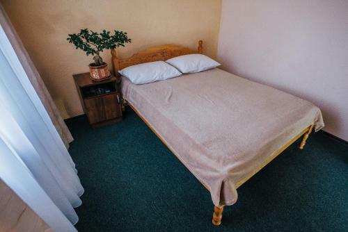 Hostal Violetta Guest House