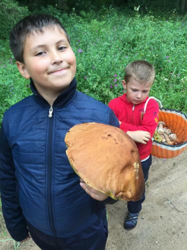 Poluostrov Na Seligere