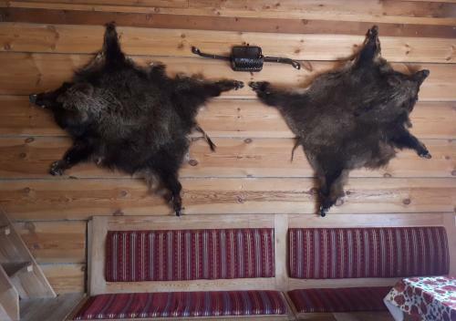 Hostal Cottage And Sauna In Baikal