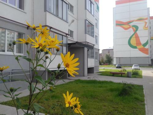 Apartments Ivushki