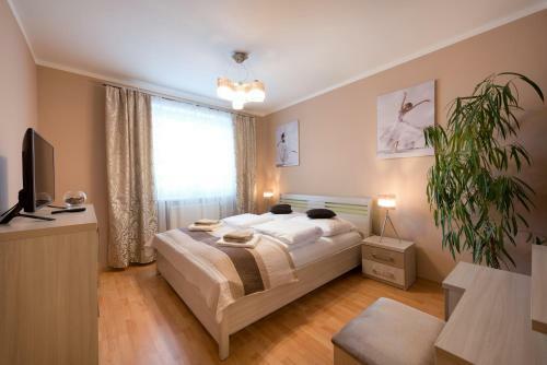 Apartm�n B2b