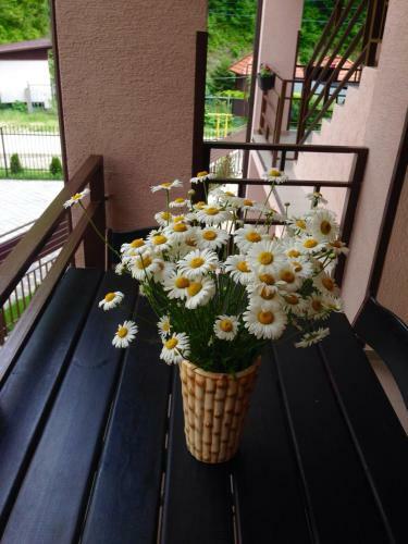 Hostal Guest House Brauni