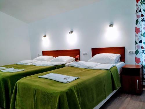 Hostal Olginka Guest House