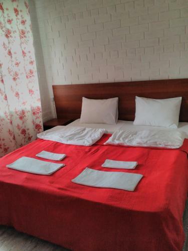 Hostal Olginka Guest House