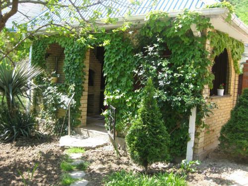 Hostal Guest House U Dmitriya