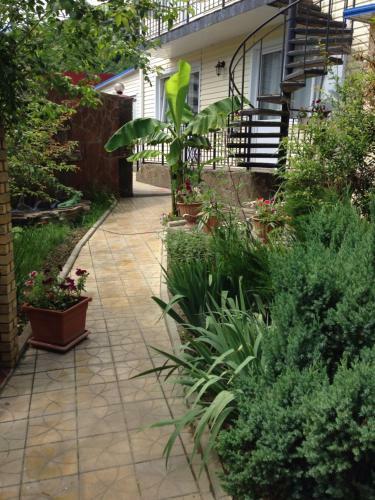 Hostal Guest House U Dmitriya