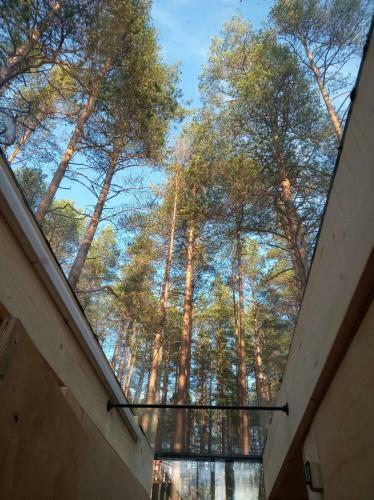 Greenvald Park Scandinavia