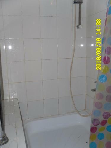 Profit Hostel