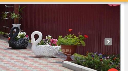 Hostal Guest House Angel