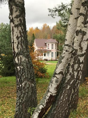 Guest House On Lake Pleshtcheyevo