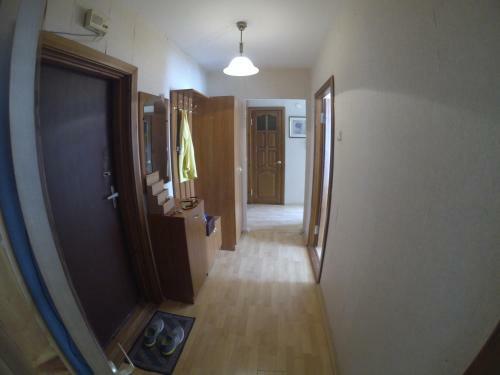 Apartment Pskov
