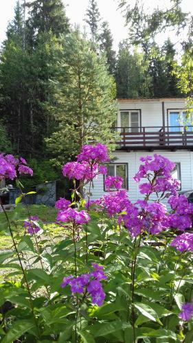 Hostal Tsar Gory Guest House