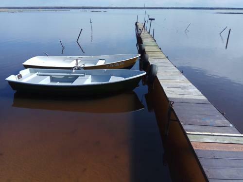 Elling On Primorskoye