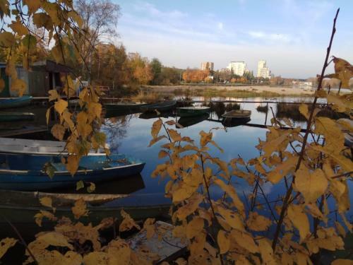 Elling On Primorskoye