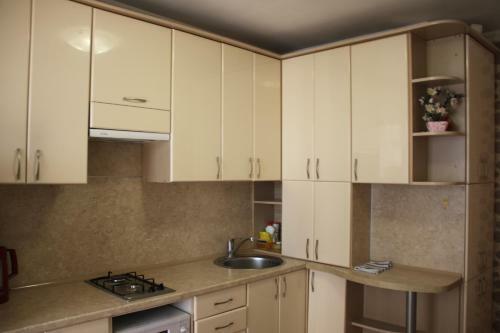 Apartment On Gagarina