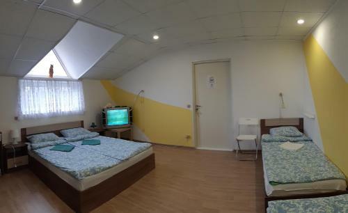 Albergue ?????? ????