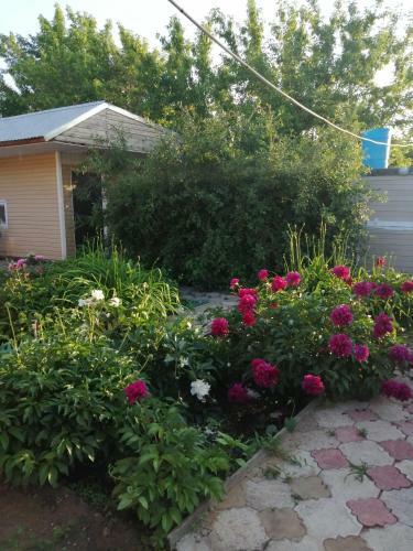 Hostal House And Individual Rooms In Salt-iletsk