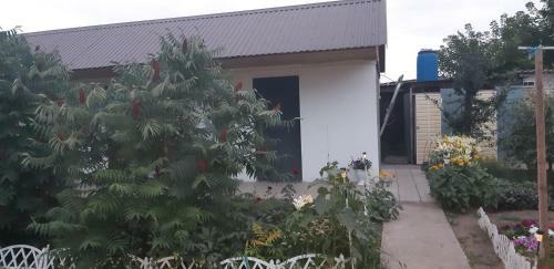 Hostal Guest House Olga