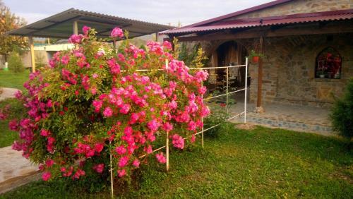 Agroturismo Guest House Na Lenina 73