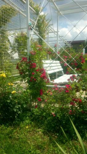 Agroturismo Guest House Na Lenina 73