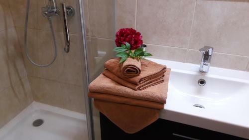 Posada Mini Hotel Sfera