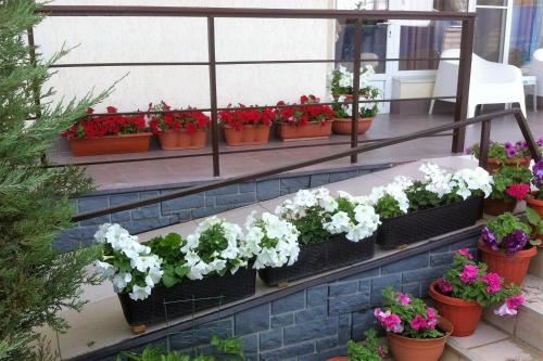 Hostal Gorny Vozdukh Guest House