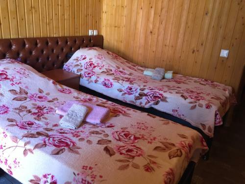 Hostal Peshera Solo