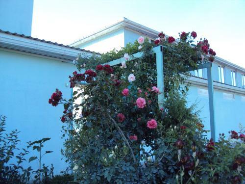 Hostal Guest House V Dolinie Roz