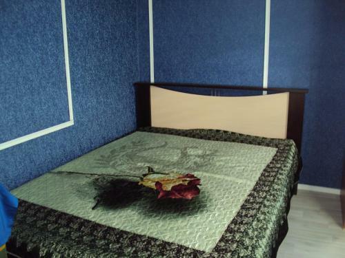 Hostal Guest House V Dolinie Roz