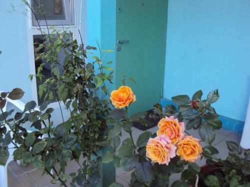Hostal Guest House V Dolinie Roz