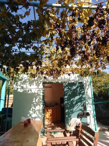 Hostal Guest House V Dolinie Roz