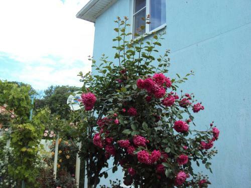 Hostal Guest House V Dolinie Roz