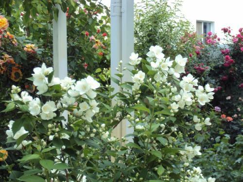 Hostal Guest House V Dolinie Roz
