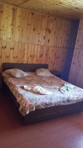 Hostal Natela Guest House