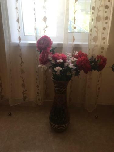 Hostal Natela Guest House
