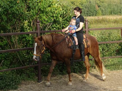Hostal Konniy Dvor Guest House