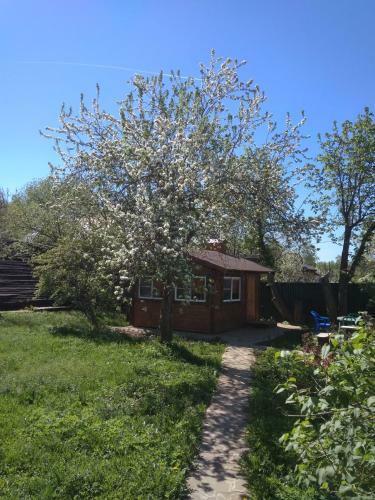 Fazenda Suzdal